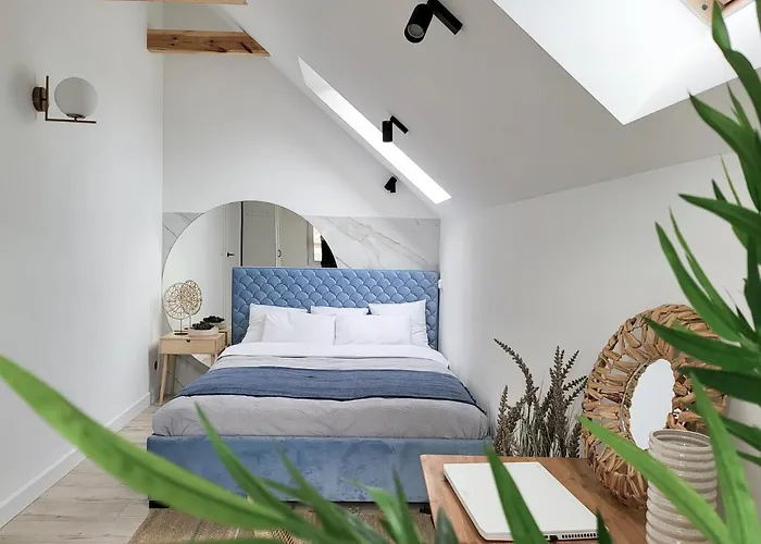 Blekitna * 데브키