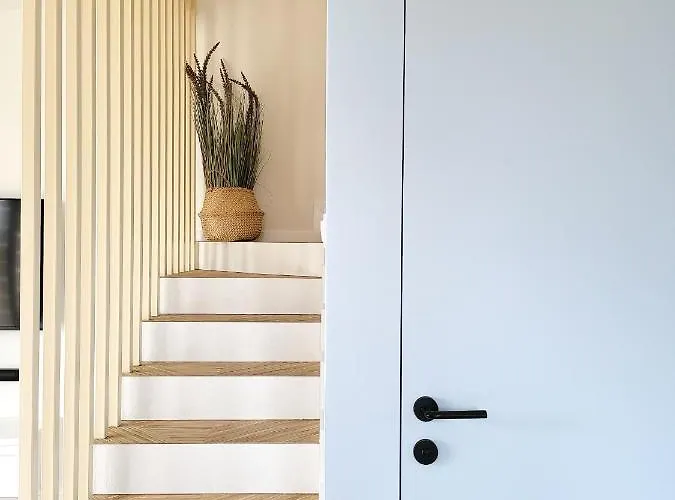 Blekitna * 데브키