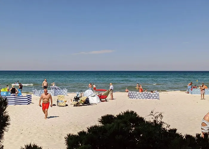 Blekitna * 데브키